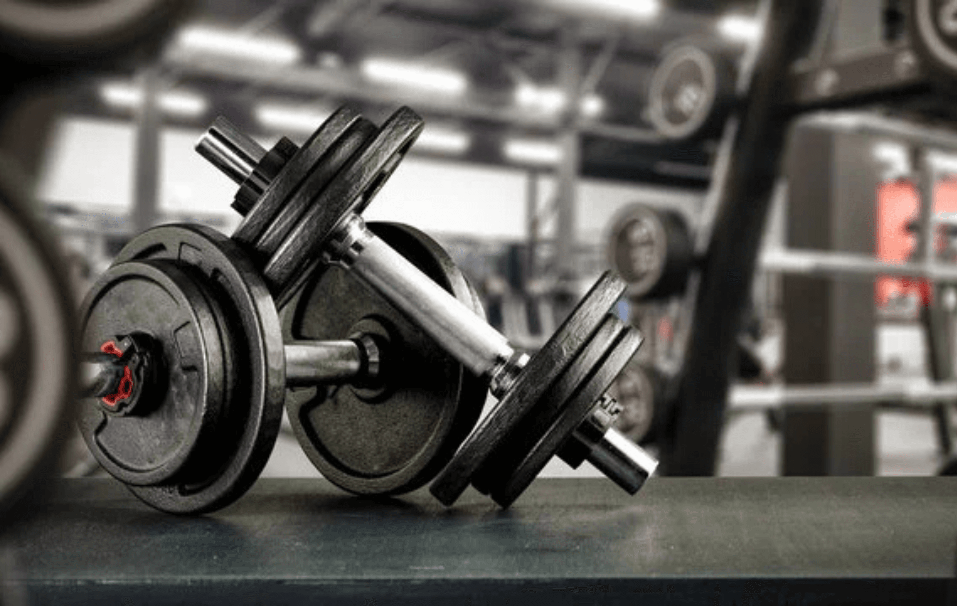 Corporate Digital Expertise in Health and fitness