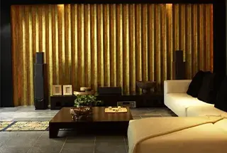 Corporate Digital Expertise in Health and fitness